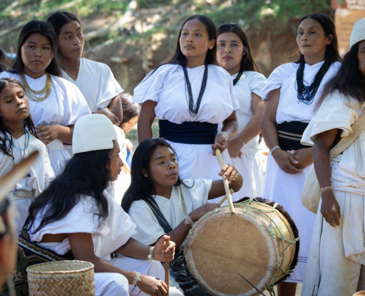 Arhuaco Campaign Discussion