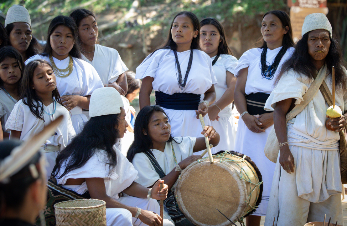 Arhuaco Campaign Discussion